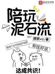 陪玩泥石流简介