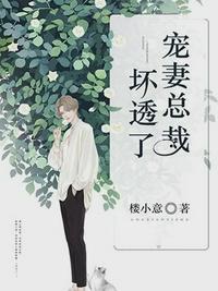 沐暖暖慕霆枭免费全文