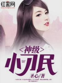 神级小刁民圣心
