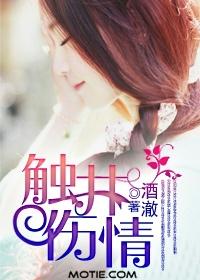 触井伤情讲什么