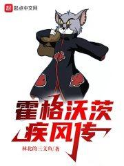 霍格沃茨疾风传全本