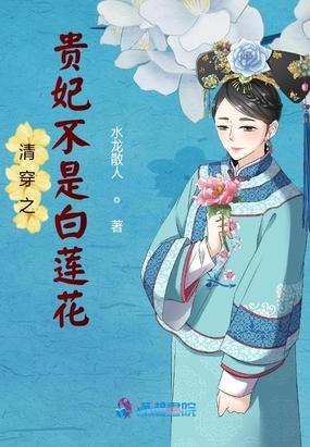 清穿之贵妃(快穿)作者