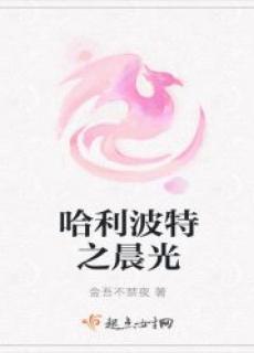 哈利波特之晨光男主