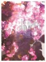 年花甲