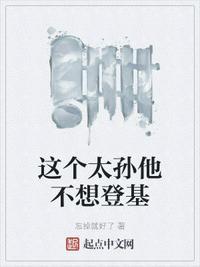 这个太子不太冷