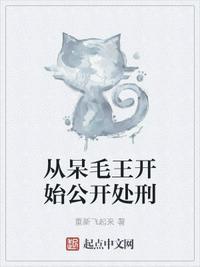 从呆毛王开始公开处刑1