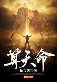 算天命3.9美化包