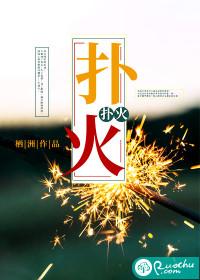 扑火歌越南神曲
