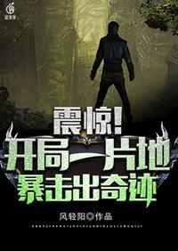 开局一片地暴击出奇迹洛宇后官