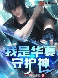 主角是华夏守护者姓叶