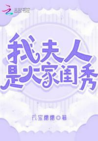 我夫人是大家闺秀全文阅读