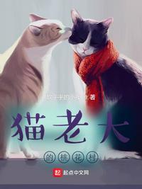 猫老大隐藏特性