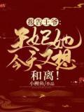 王妃又在写休书免费阅读