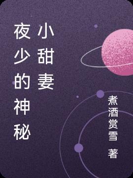 夜少的神秘小甜妻 煮酒赏雪
