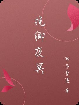 挽夜什么意思
