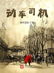 动车司机年薪多少万
