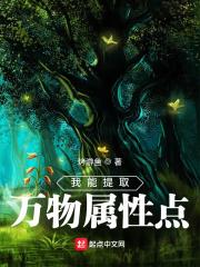我能提取万物属性作者夏娃小可爱
