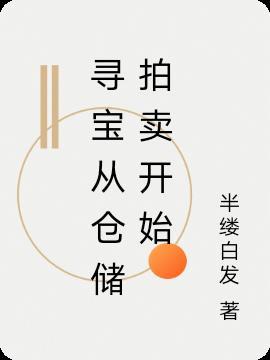 寻宝从仓储拍卖开始TXT最新章节列表