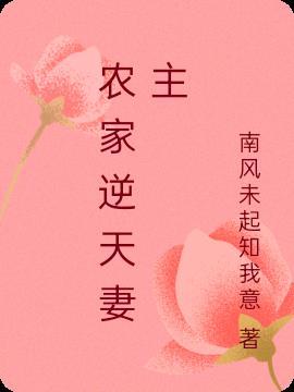 农家凡妻