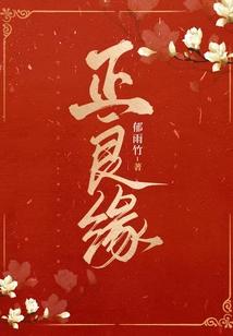 十部顶级耐看