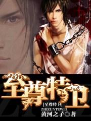 至尊特工介绍