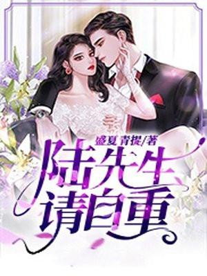 陆先生我们终于结束了免费阅读