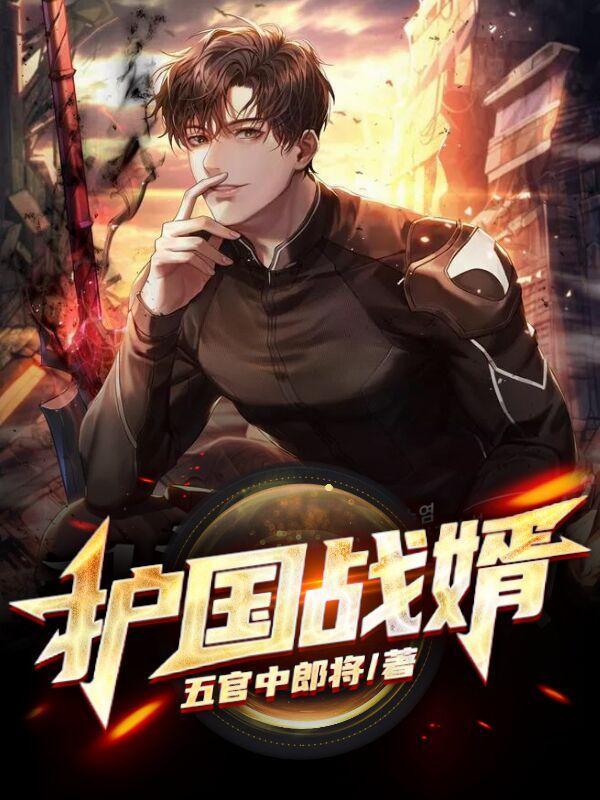 护国战婿TXT全本