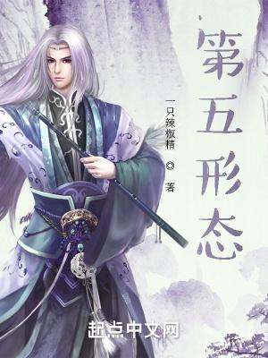 第五形态所有境界详解