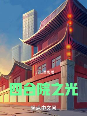 四合院之光TXT奇书