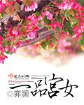 一品宫女 笔趣阁