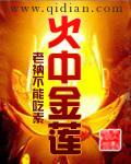 火中金莲女主角有几个