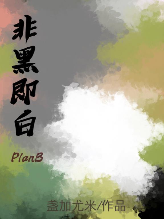 非黑即白 电视剧