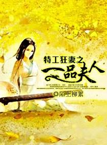 特工狂妃一品夫人