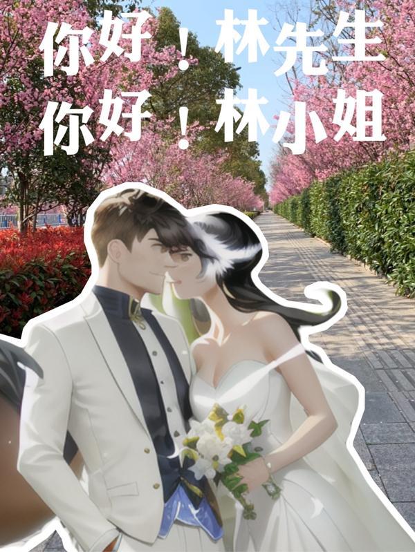 林先生!你好
