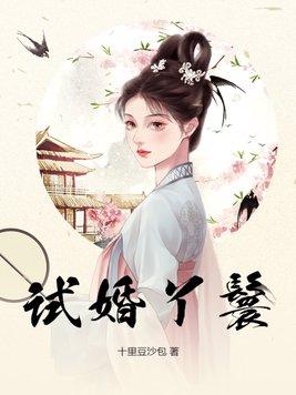 试婚丫鬟酒酿