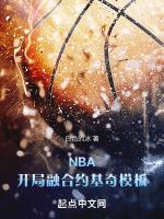 NBA模板约基奇