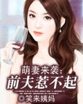 萌宝在上前夫请走开