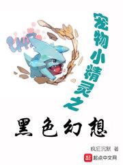宠物小精灵之黑暗