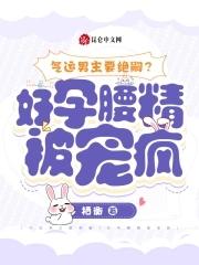 男主是气运之子的