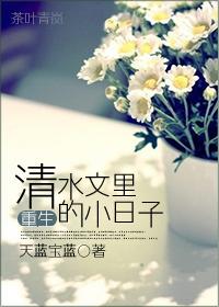 重生清水文里的小日子大结局