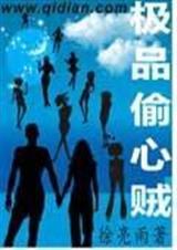 极品偷心贼全文