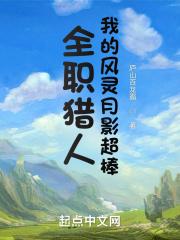 全职猎人风烟