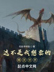 剑与法杖的精灵世界怎么打