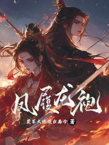 凤袍与拂尘全文阅读