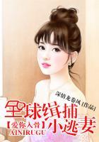 全球缉捕小逃妻全文免费阅读