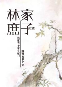 红楼之林家庶子逆袭记