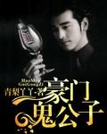 豪门公子的