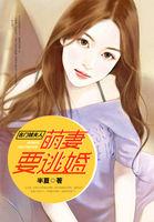 萌妻来袭名门少夫人免费阅读