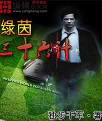 绿茵三十六计全文免费阅读