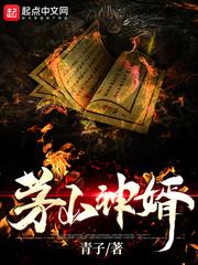 茅山神婿TXT全本
